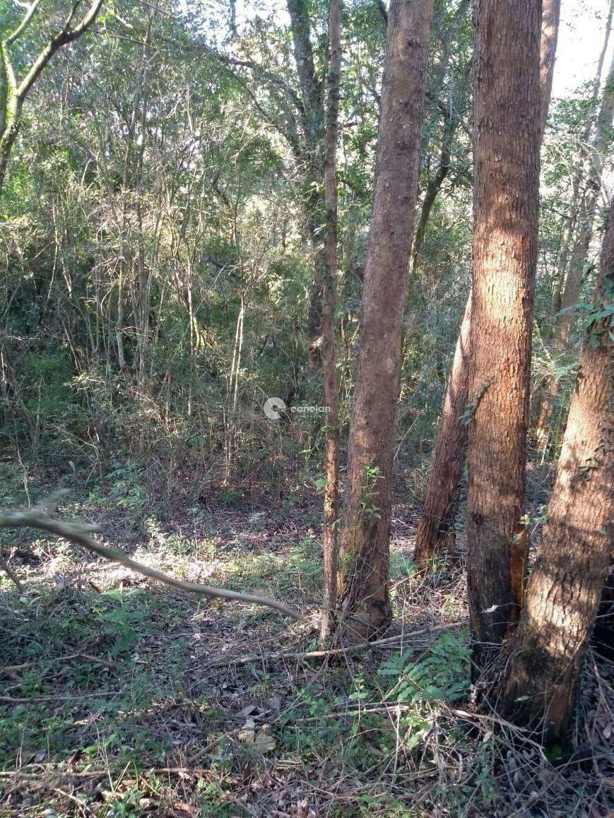 Terreno à venda no Km 3: 
