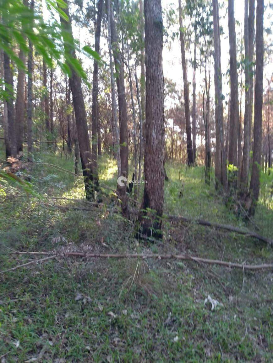 Terreno à venda no Km 3: 