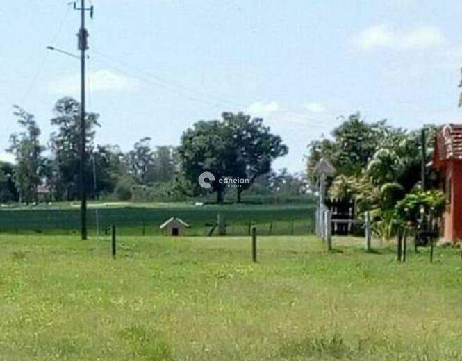 Chácara à venda no Zona rural: 