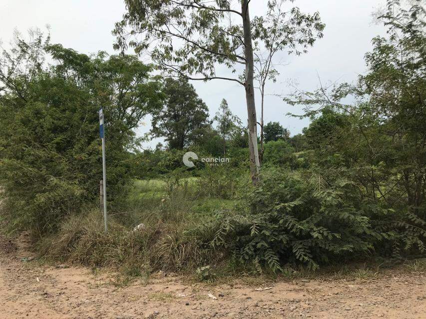 Terreno à venda no Diácono João Luiz Pozzobon: 