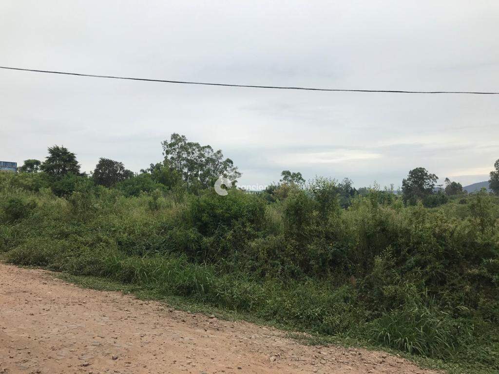 Terreno à venda no Diácono João Luiz Pozzobon: 