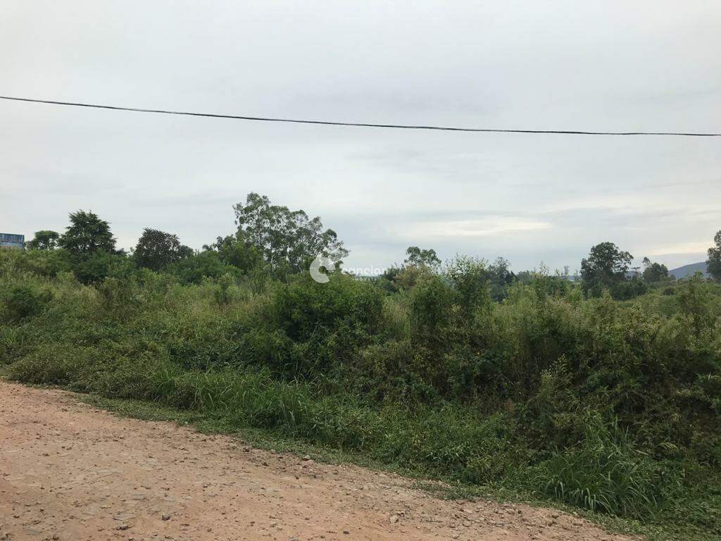 Terreno à venda no Diácono João Luiz Pozzobon: 