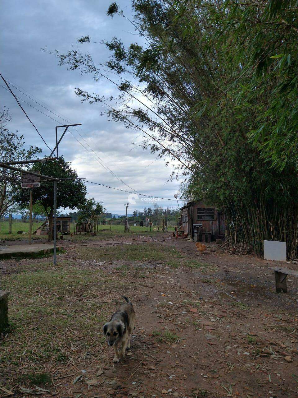 Chácara à venda no Diácono João Luiz Pozzobon: 