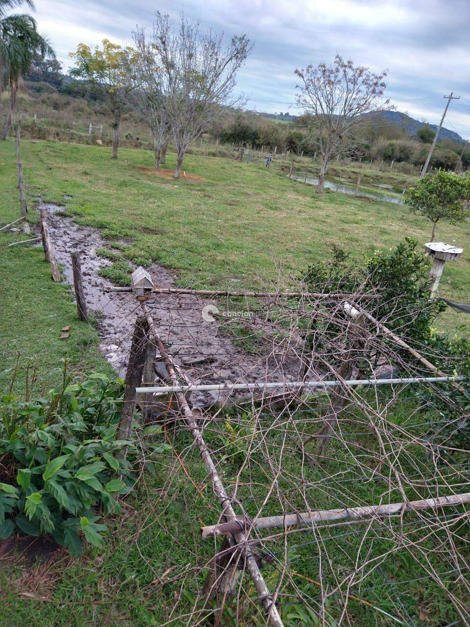 Chácara à venda no Diácono João Luiz Pozzobon: 