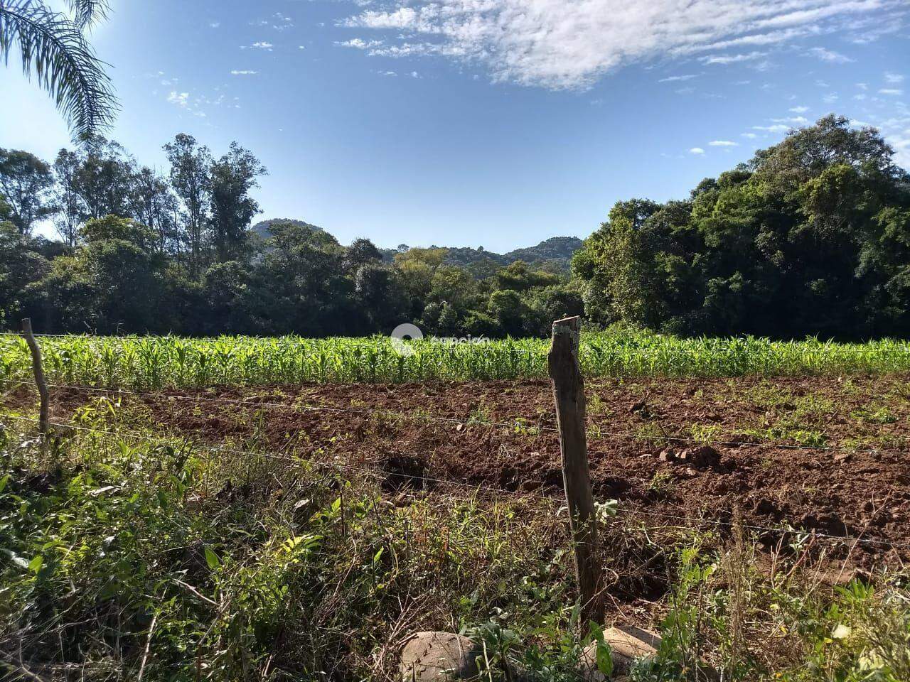 Chácara à venda no Zona rural: 