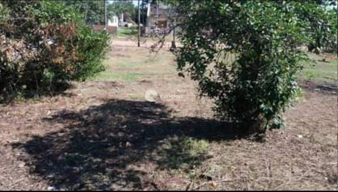 Terreno à venda no Lorenzi: 