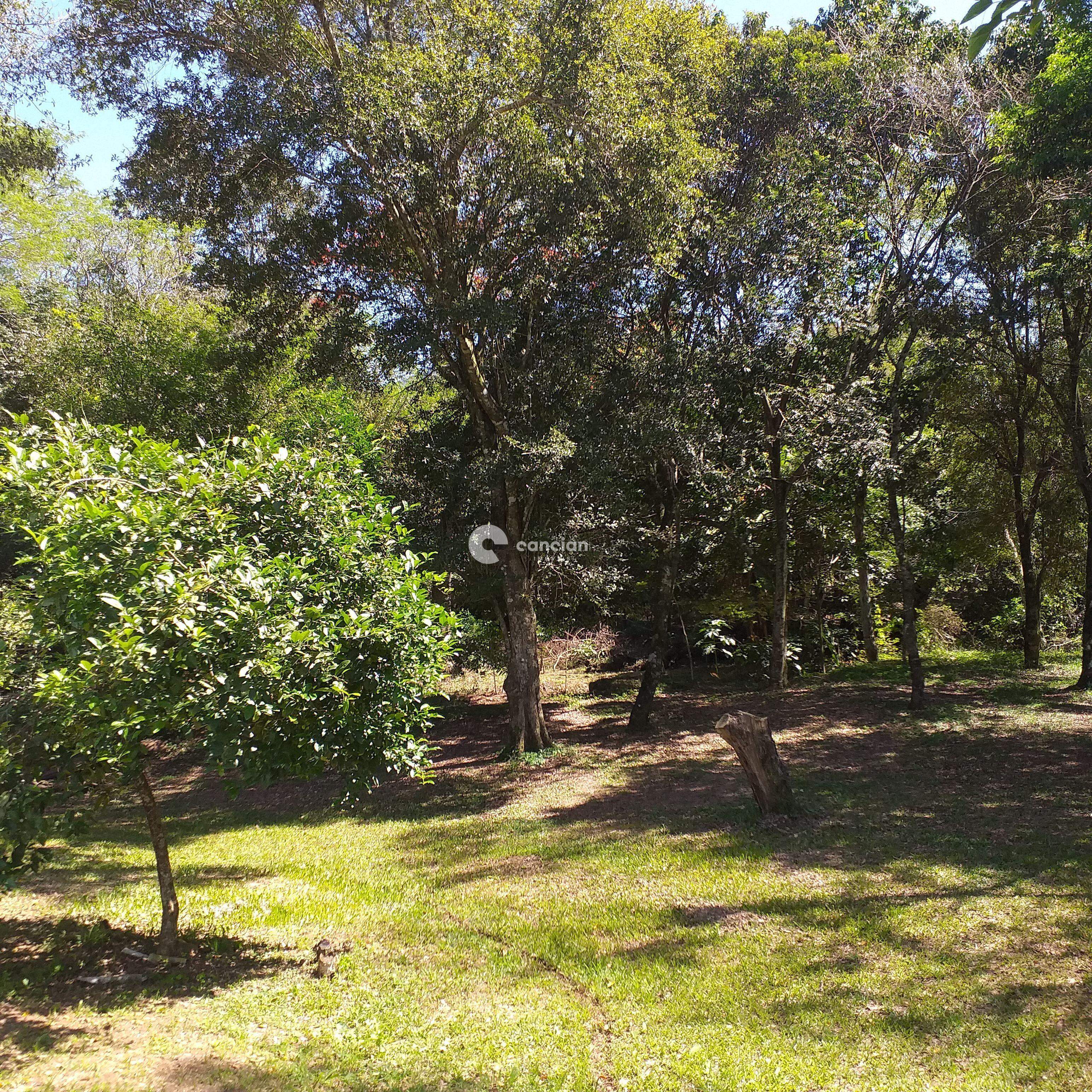 Chácara à venda no Pé de Plátano: 