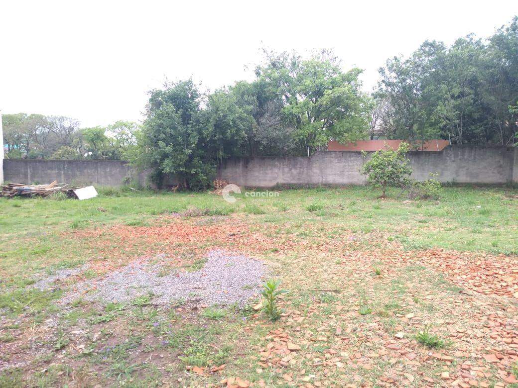 Terreno à venda no Camobi: 