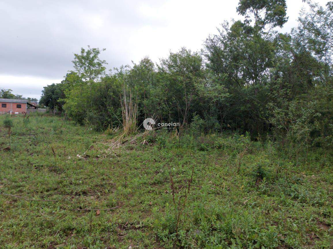 Terreno à venda no Camobi: