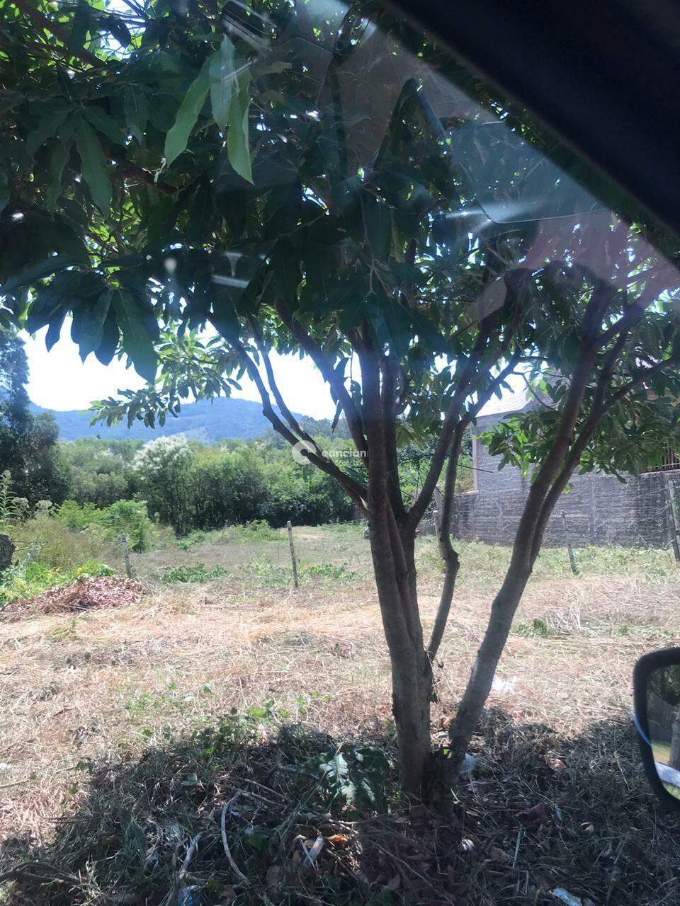 Terreno à venda no Camobi: 