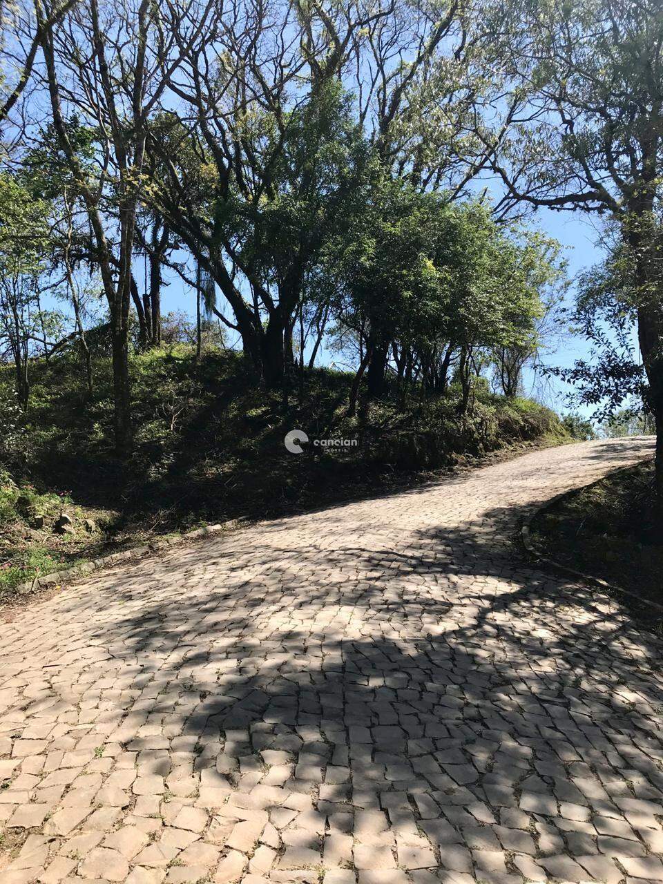 Terreno à venda no Silveira Martins: 