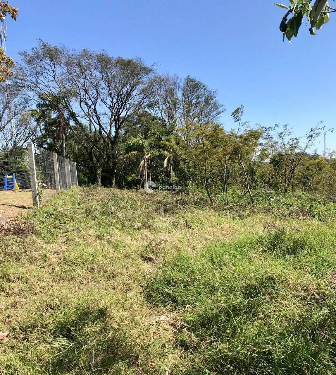 Terreno à venda no Silveira Martins: 