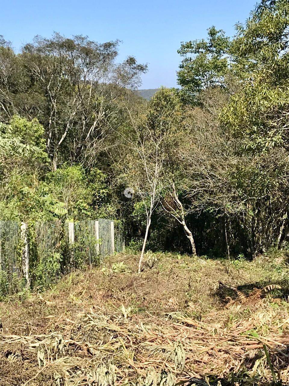 Terreno à venda no Silveira Martins: 