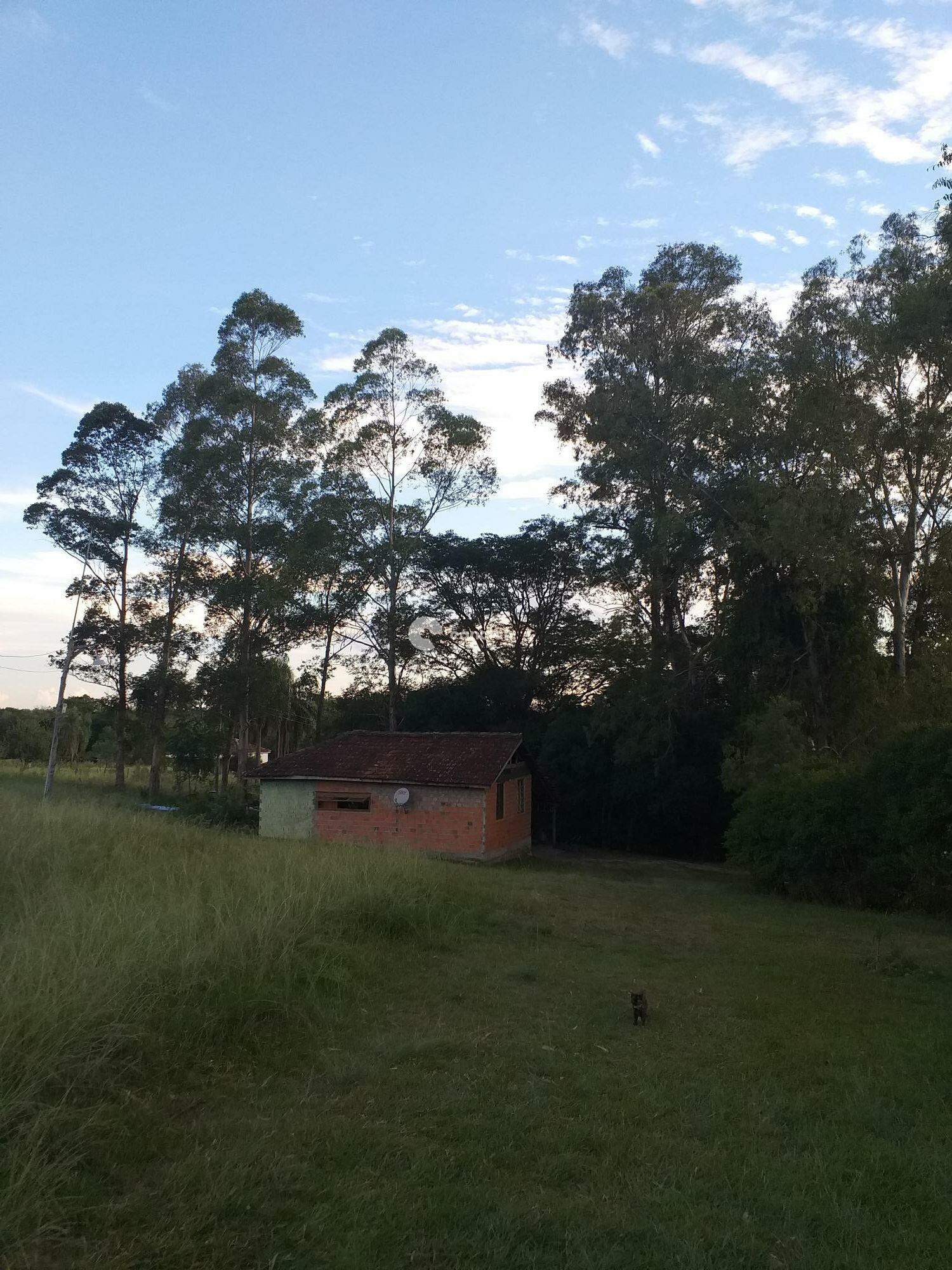 Chácara à venda no Pé de Plátano: 