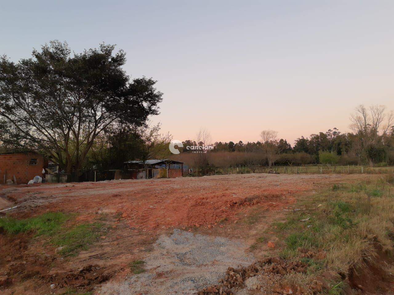 Terreno à venda no Camobi: 