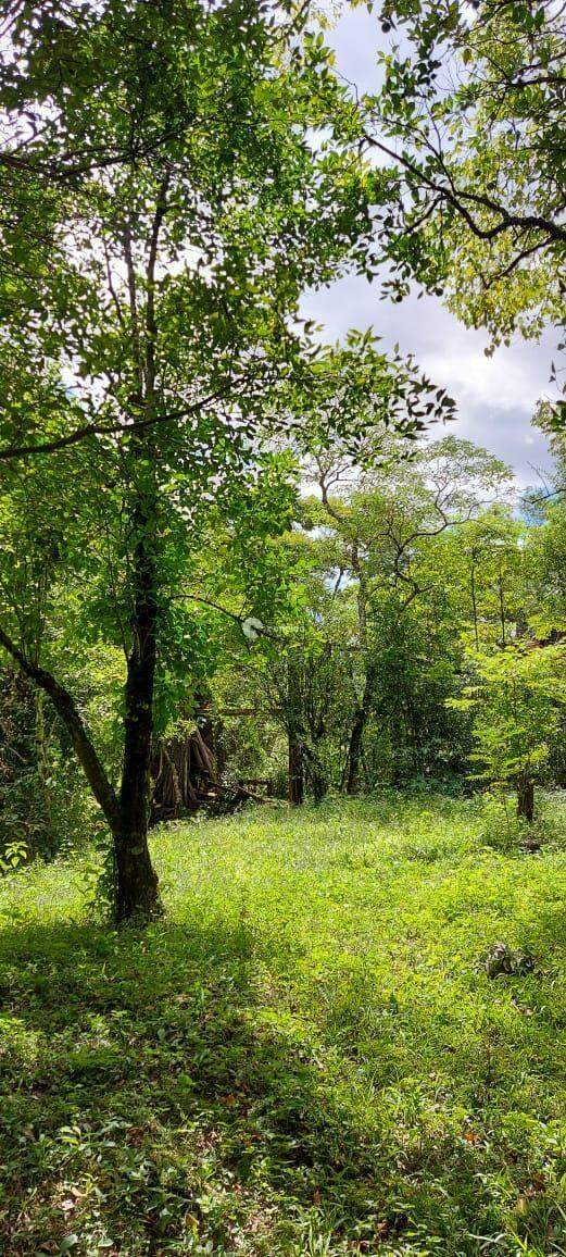 Área Rural à venda no Camobi: 