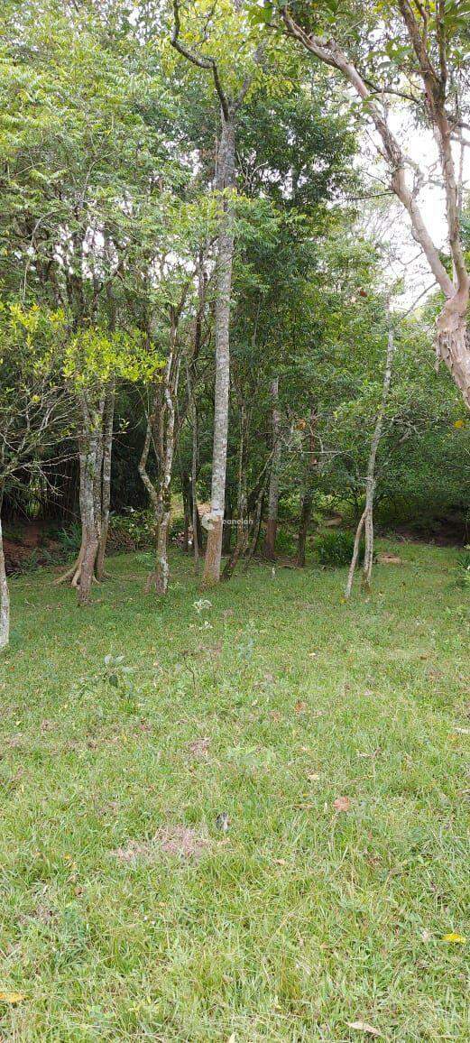 Área Rural à venda no Camobi: 