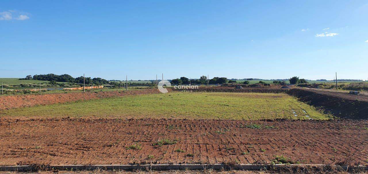Terreno à venda no Camobi: 