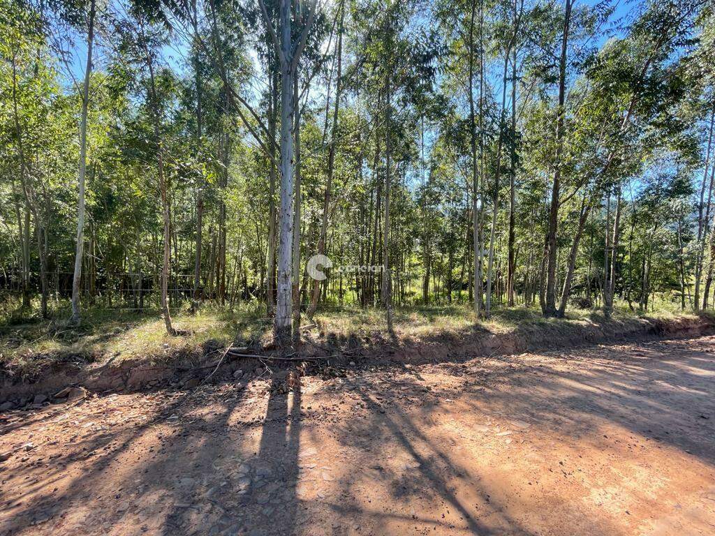 Área Rural à venda no Centro: 