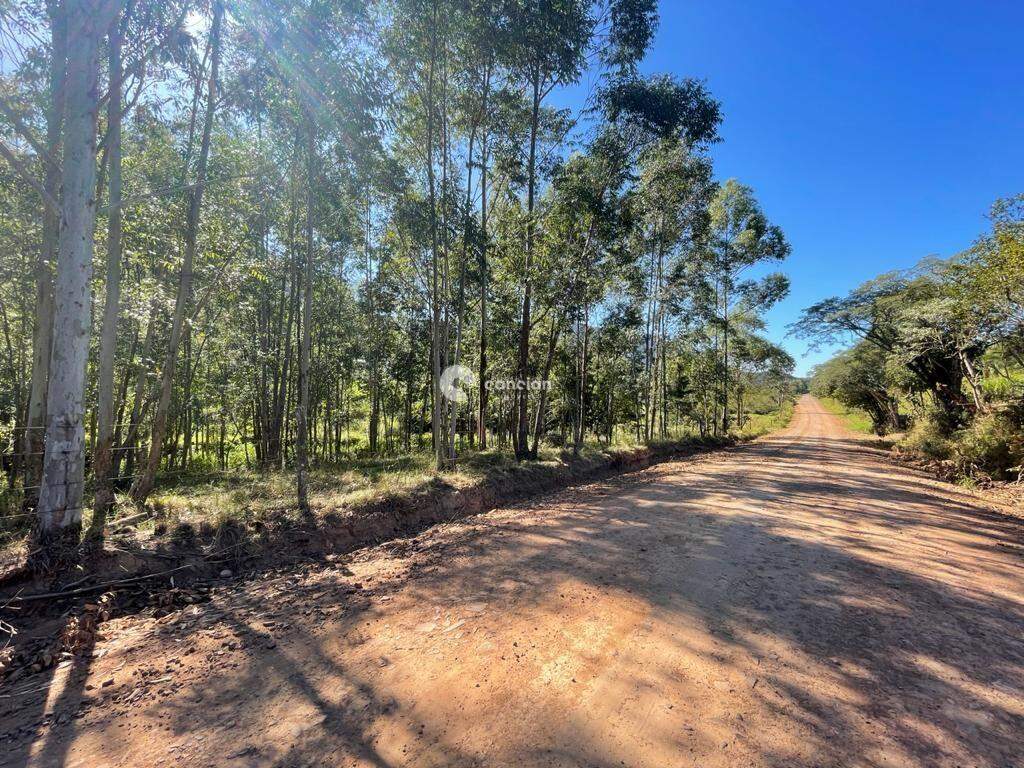 Área Rural à venda no Centro: 