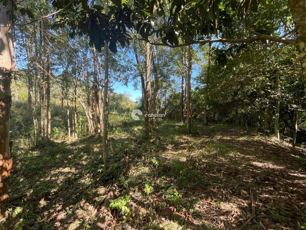 Área Rural à venda no Centro: 