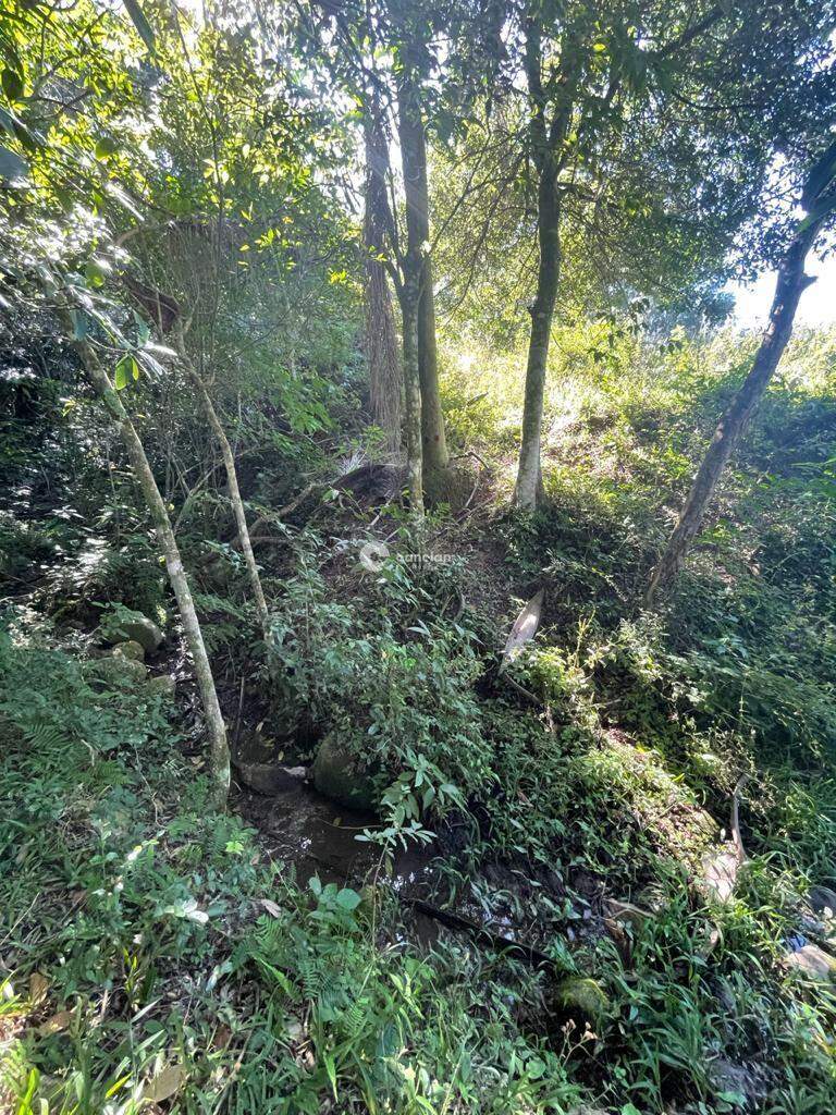 Área Rural à venda no Centro: 