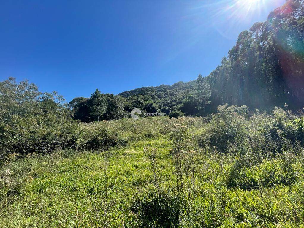Área Rural à venda no Centro: 