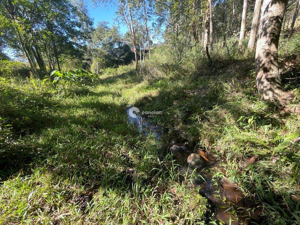 Área Rural à venda no Centro: 