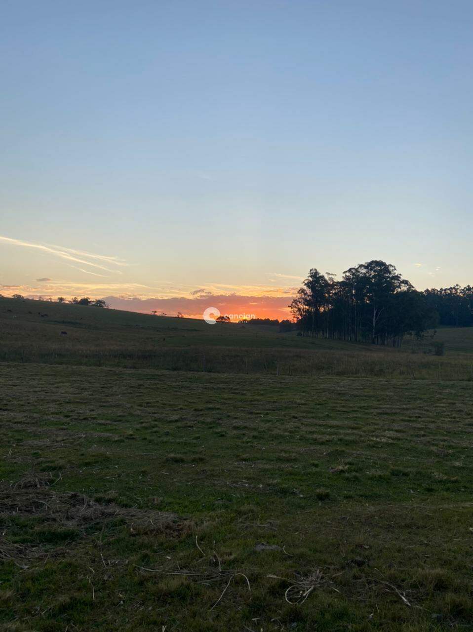 Área Rural à venda no Boca do Monte: 