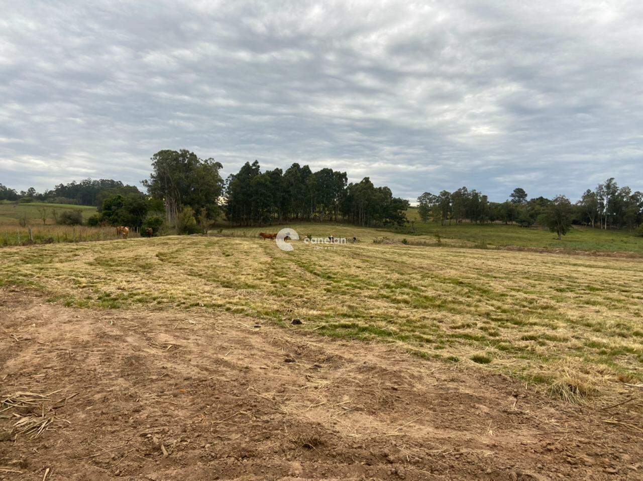 Área Rural à venda no Boca do Monte: 