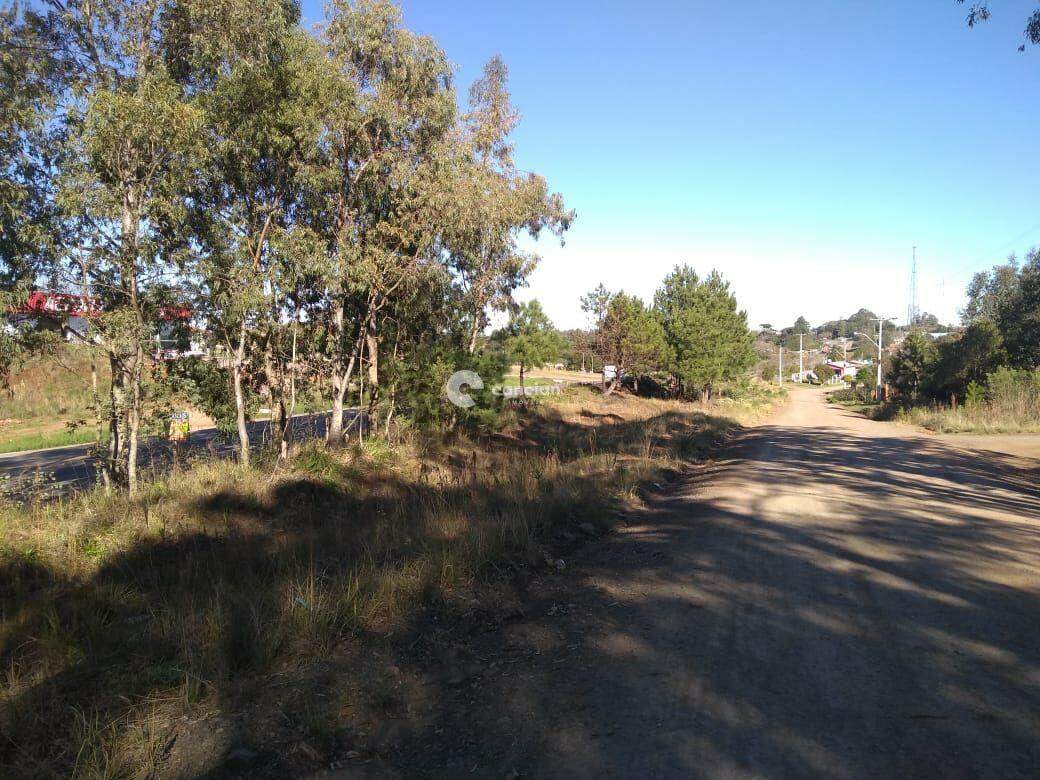Terreno à venda no Parque Serrano I: 