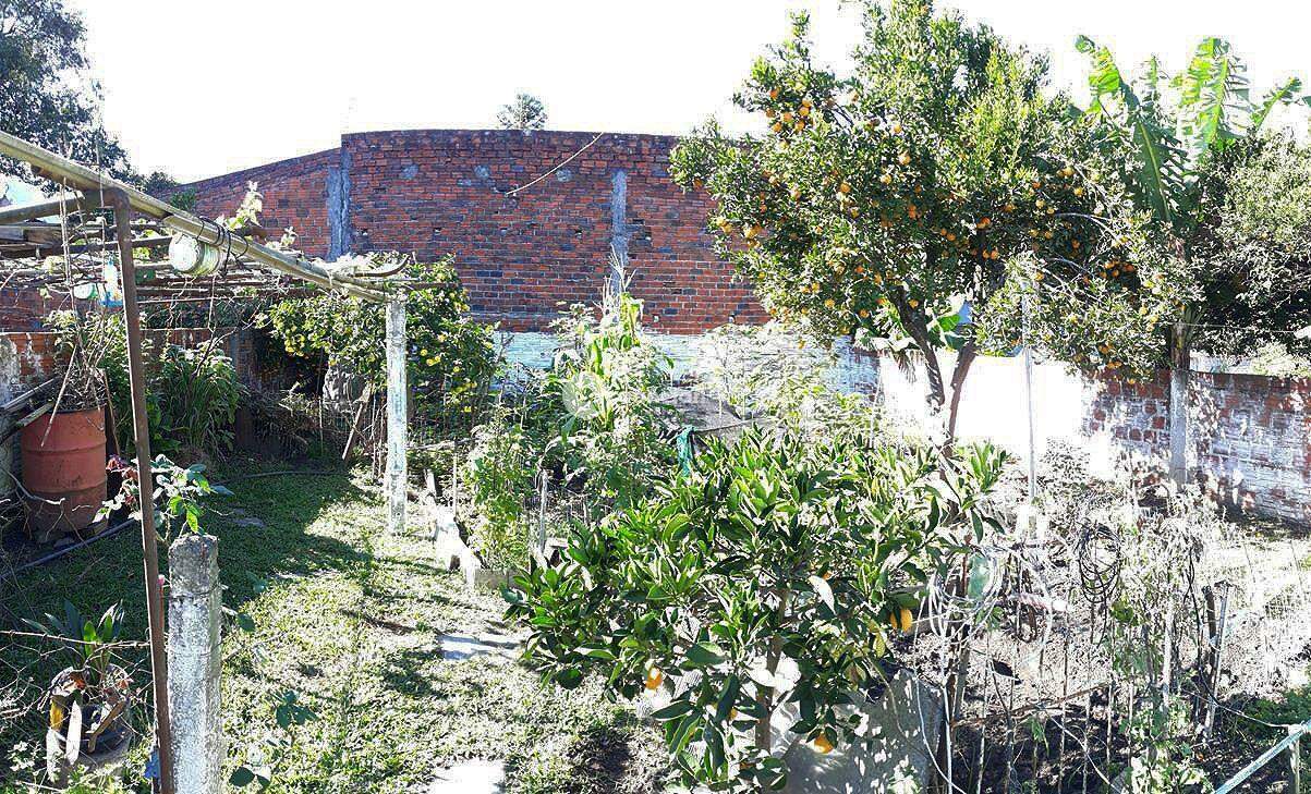 Casa à venda no Pinheiro Machado: 