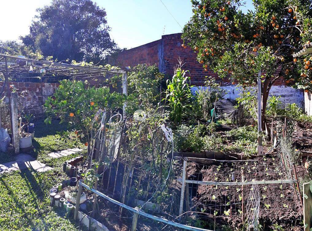 Casa à venda no Pinheiro Machado: 