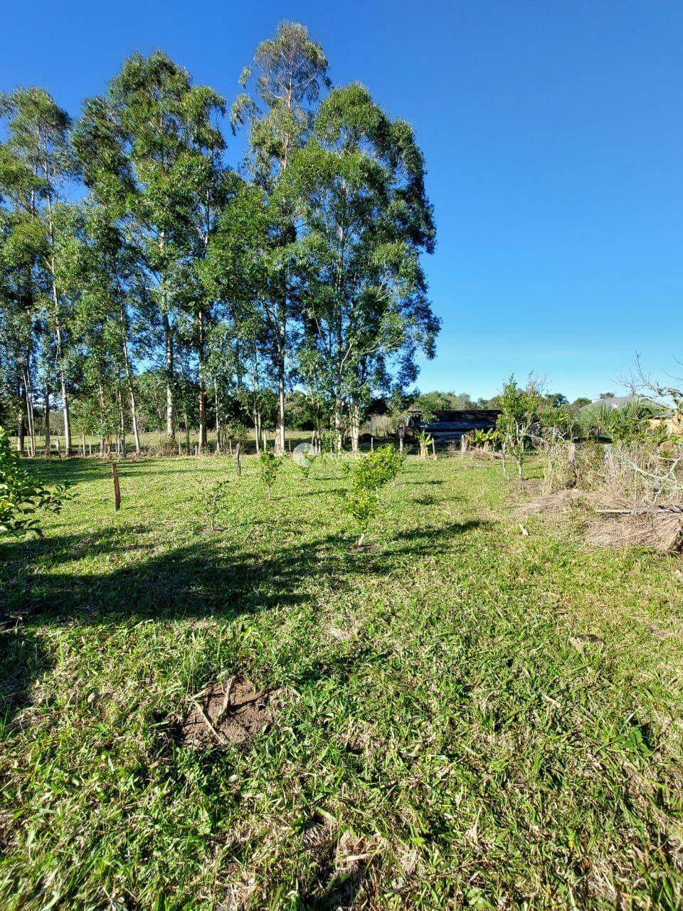 Terreno à venda no Zona rural: 