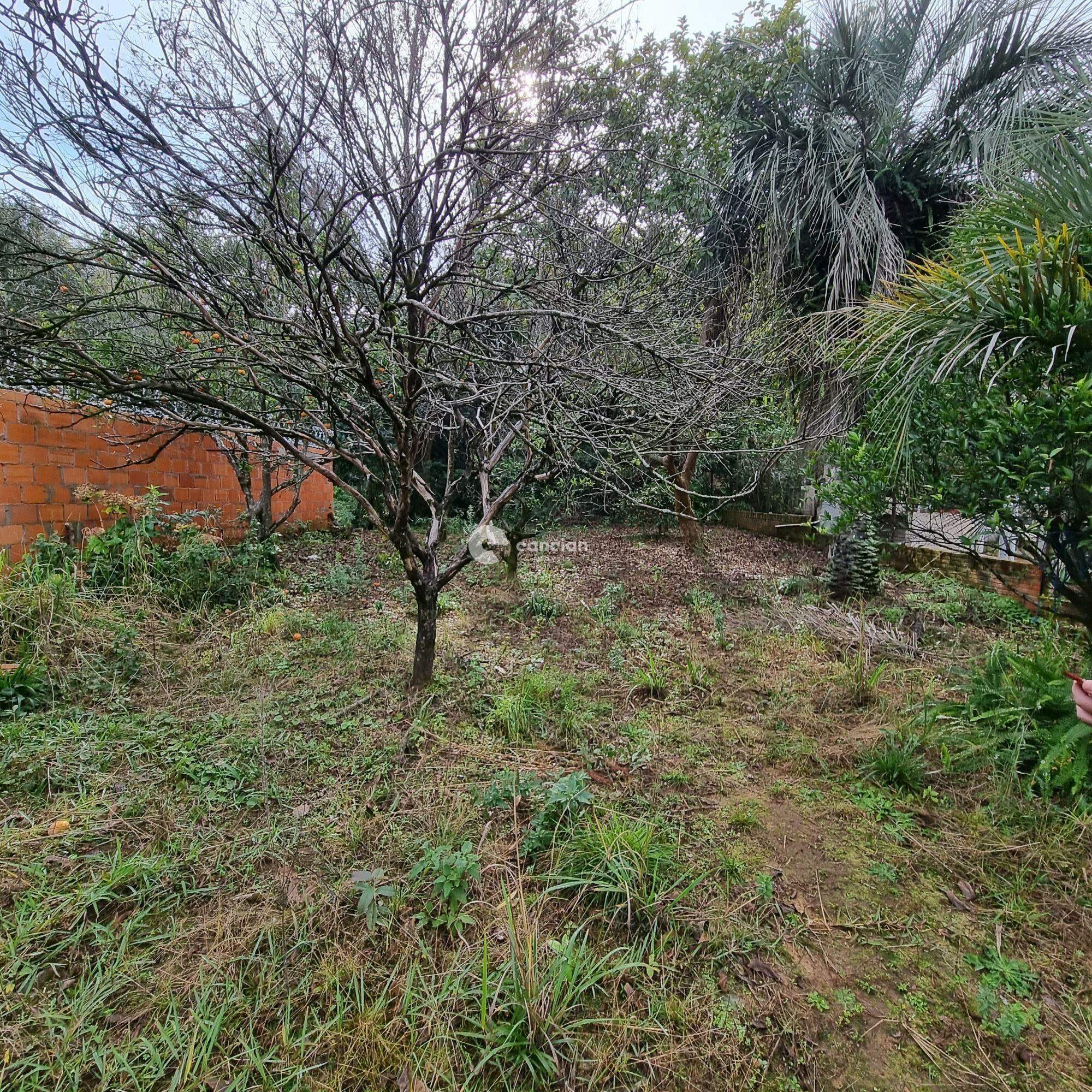 Terreno à venda no Itararé: 