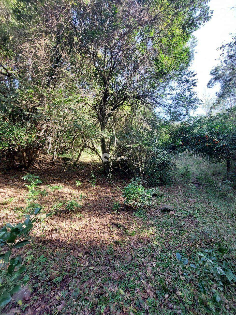 Área Rural à venda no Km 23: 