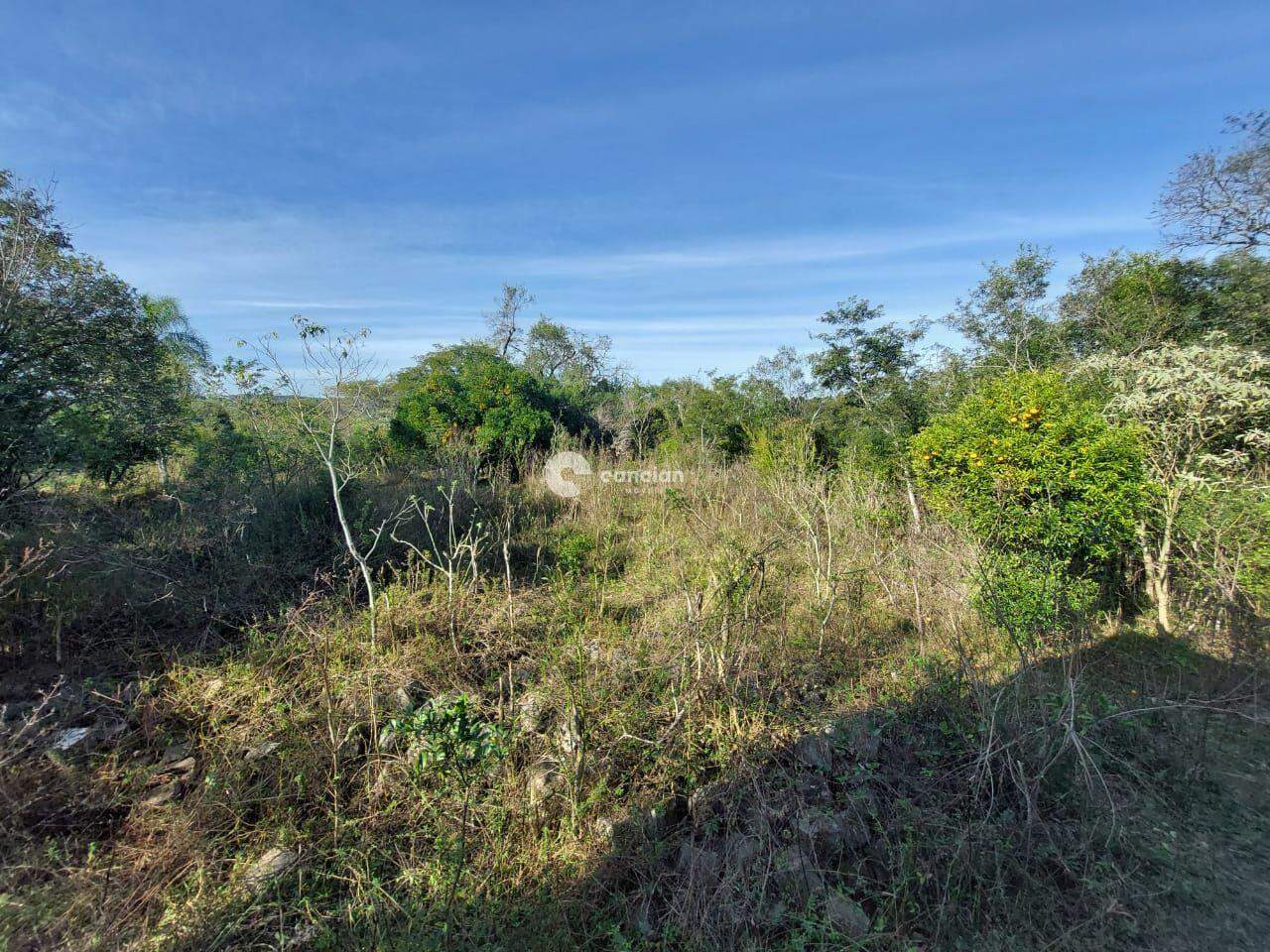 Área Rural à venda no Km 23: 