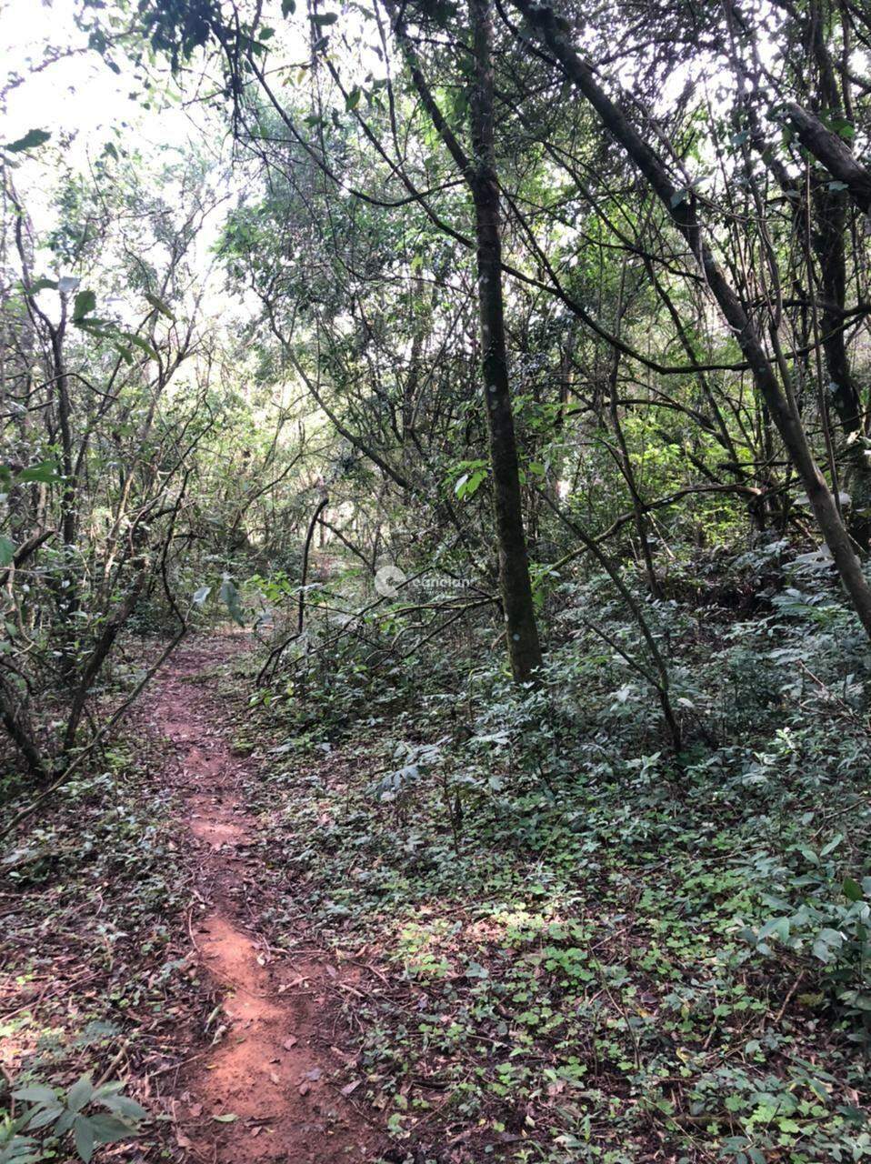 Chácara à venda no Zona rural: 
