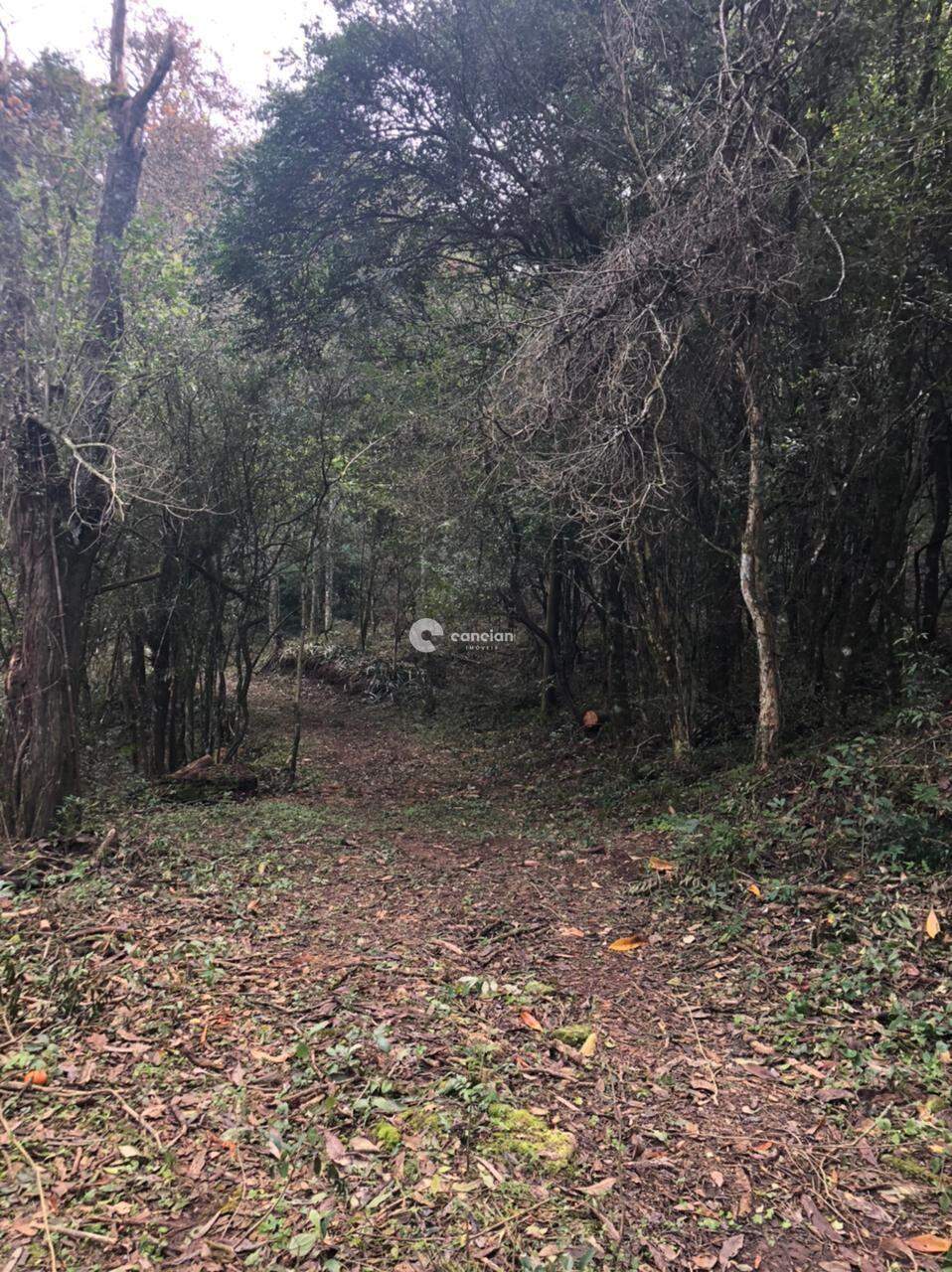Chácara à venda no Zona rural: 