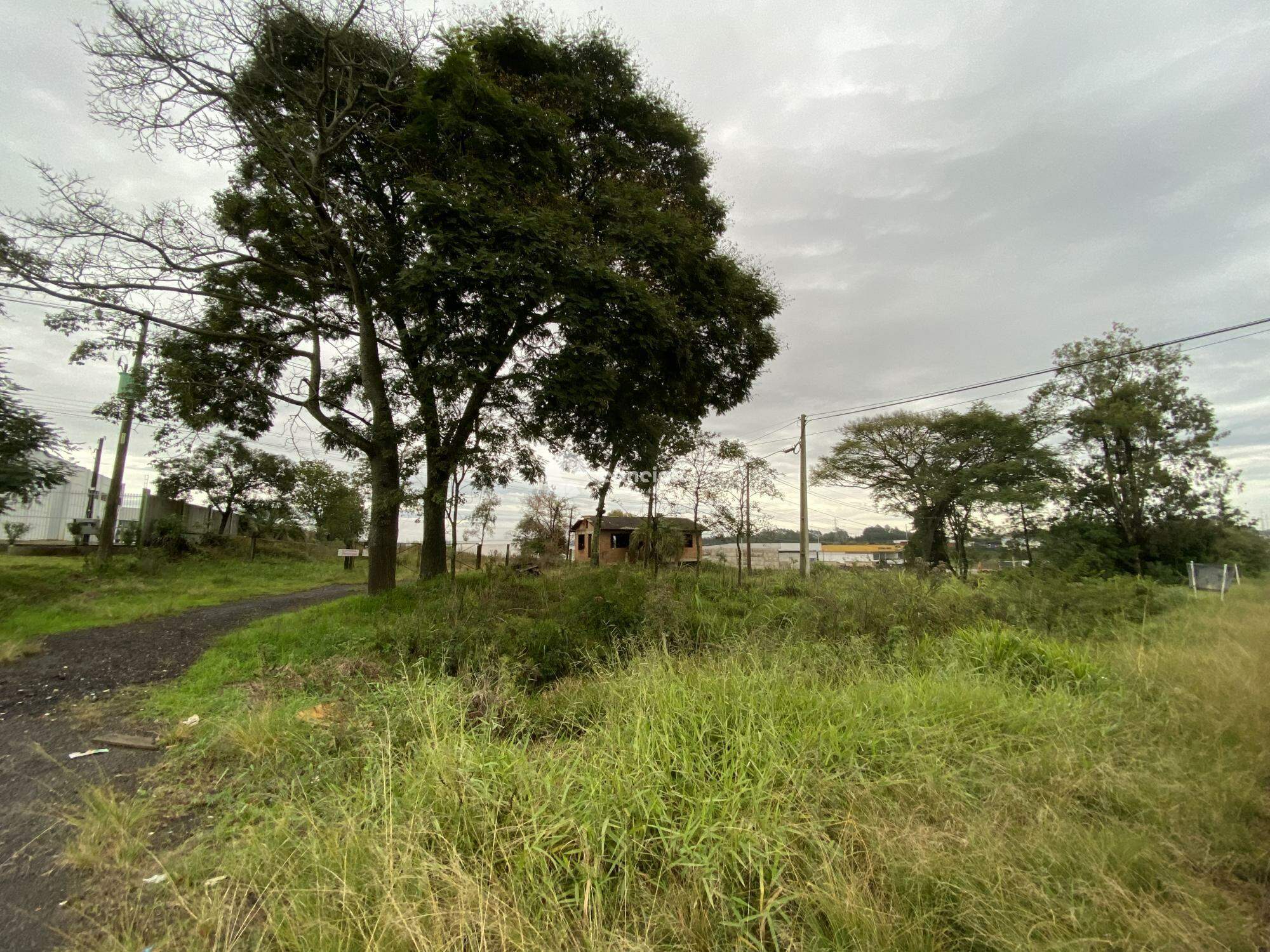 Terreno à venda no Urlândia: 