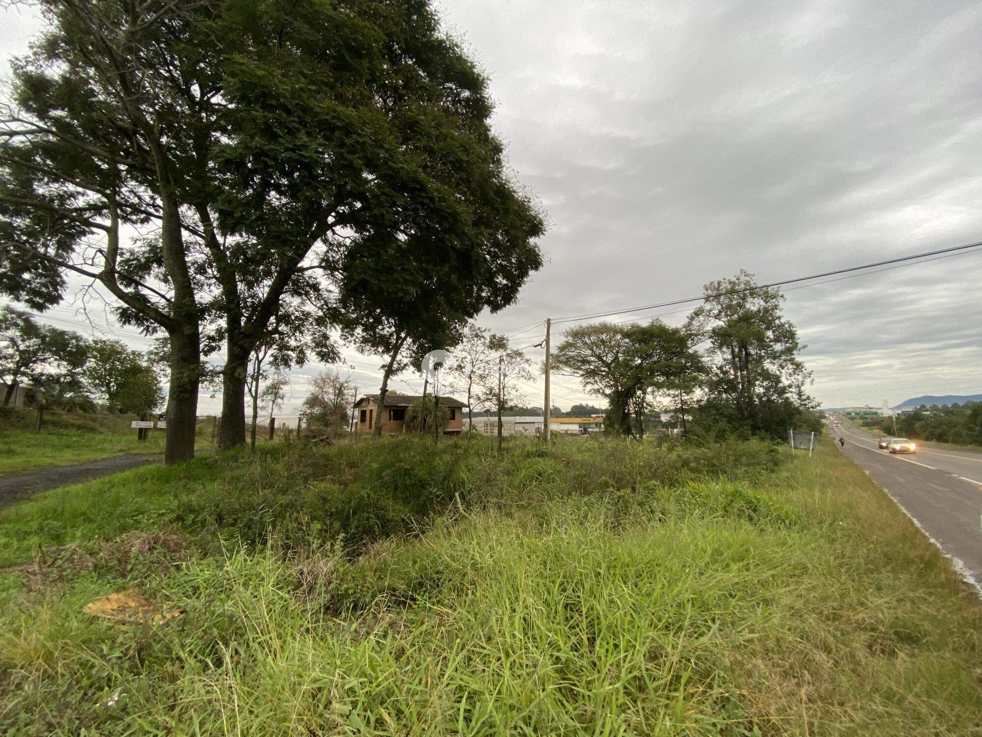 Terreno à venda no Urlândia: 
