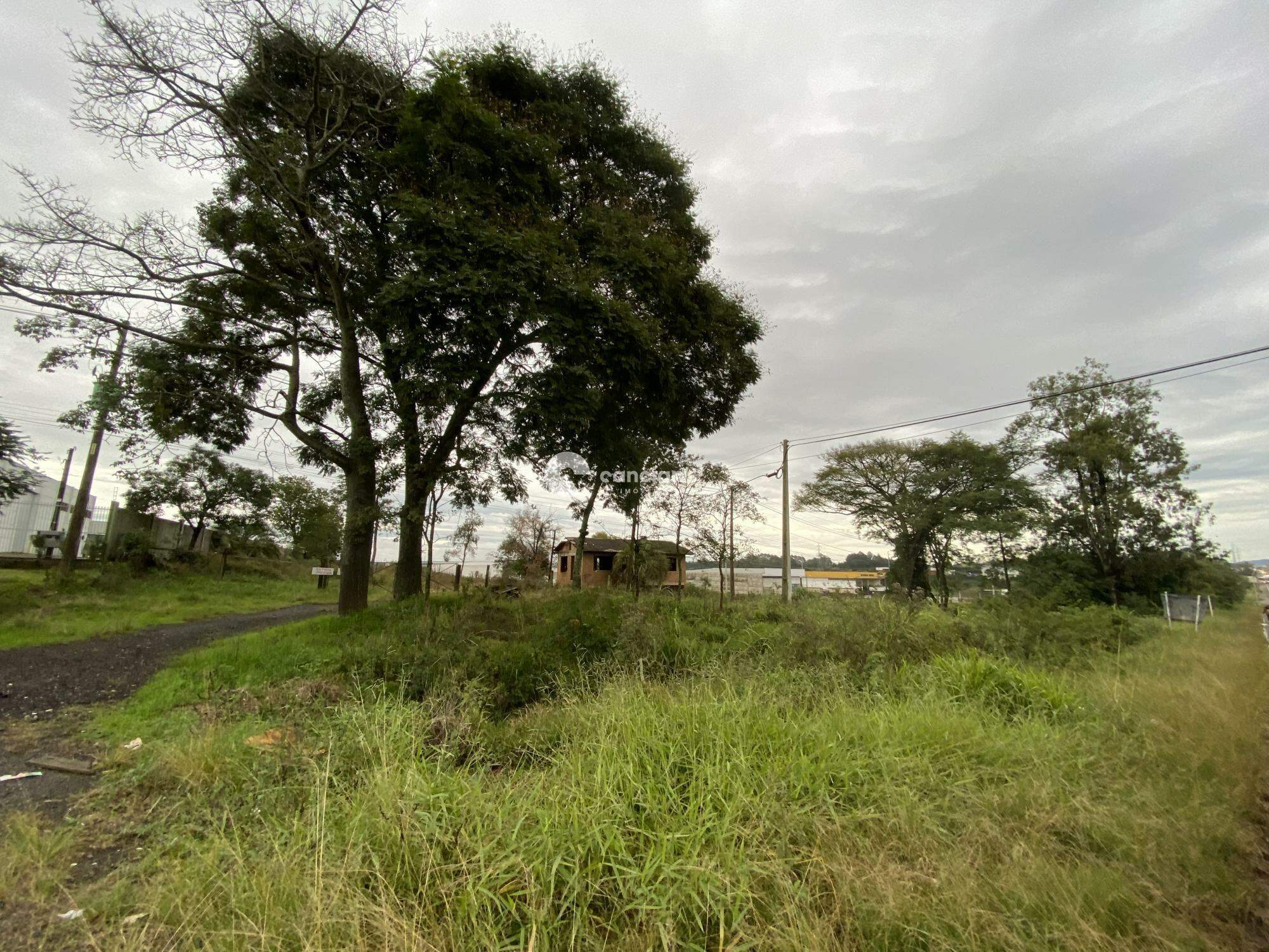 Terreno à venda no Urlândia: 
