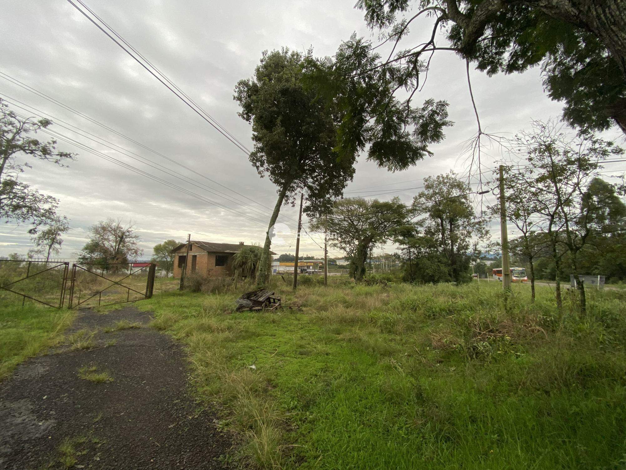 Terreno à venda no Urlândia: 