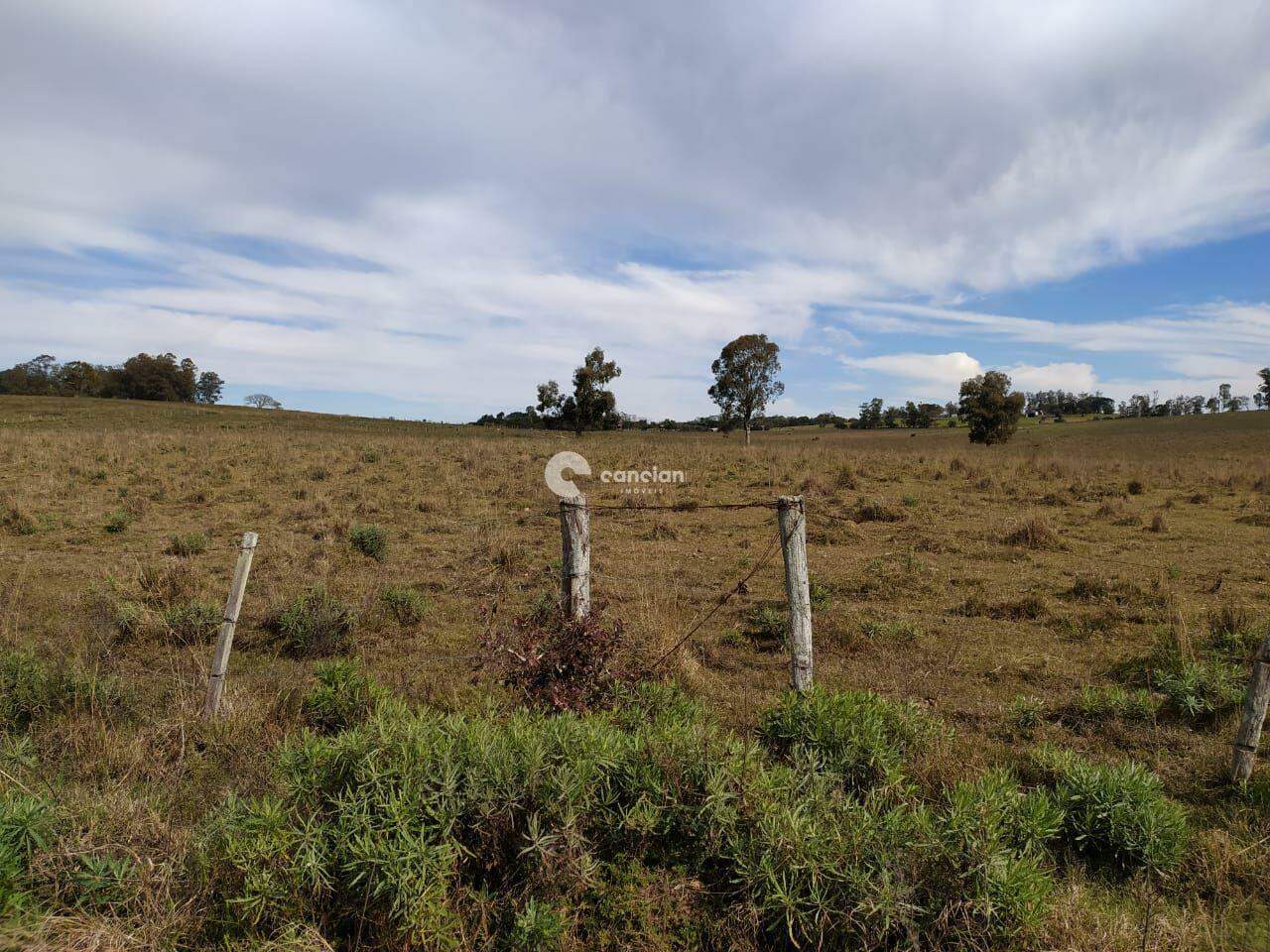 Área Rural à venda no Centro: 