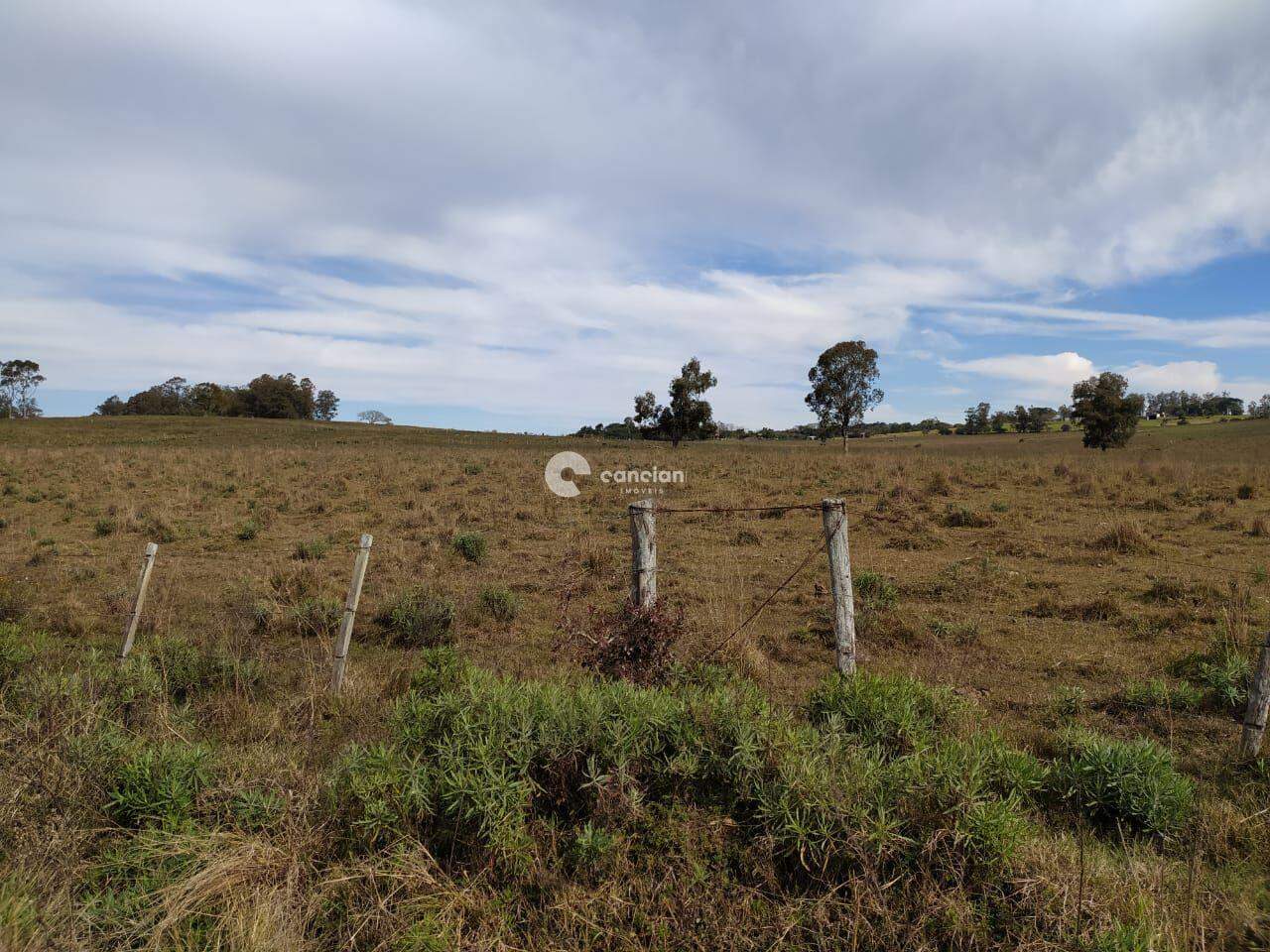 Área Rural à venda no Centro: 