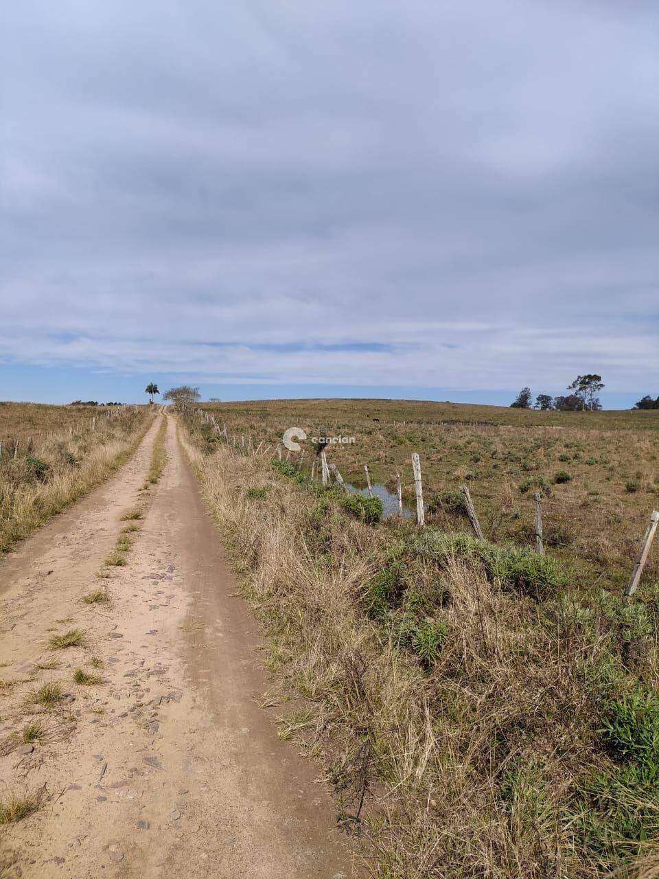 Área Rural à venda no Centro: 