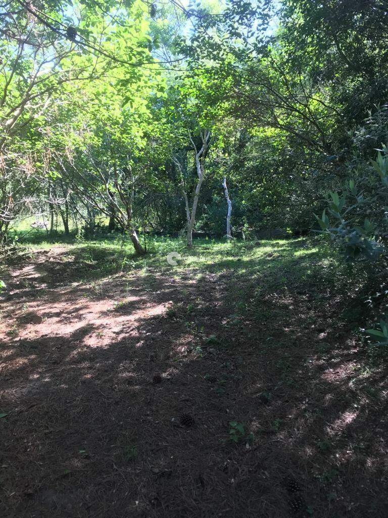 Terreno à venda no Cerrito: 