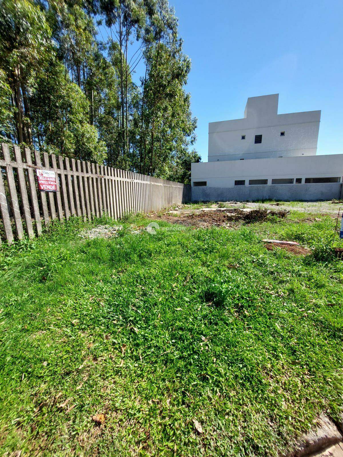 Terreno à venda no Camobi: 
