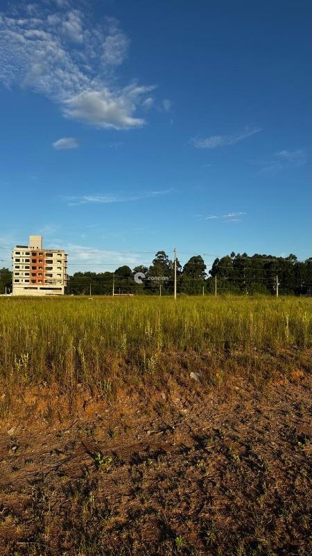 Terreno à venda no Camobi: 