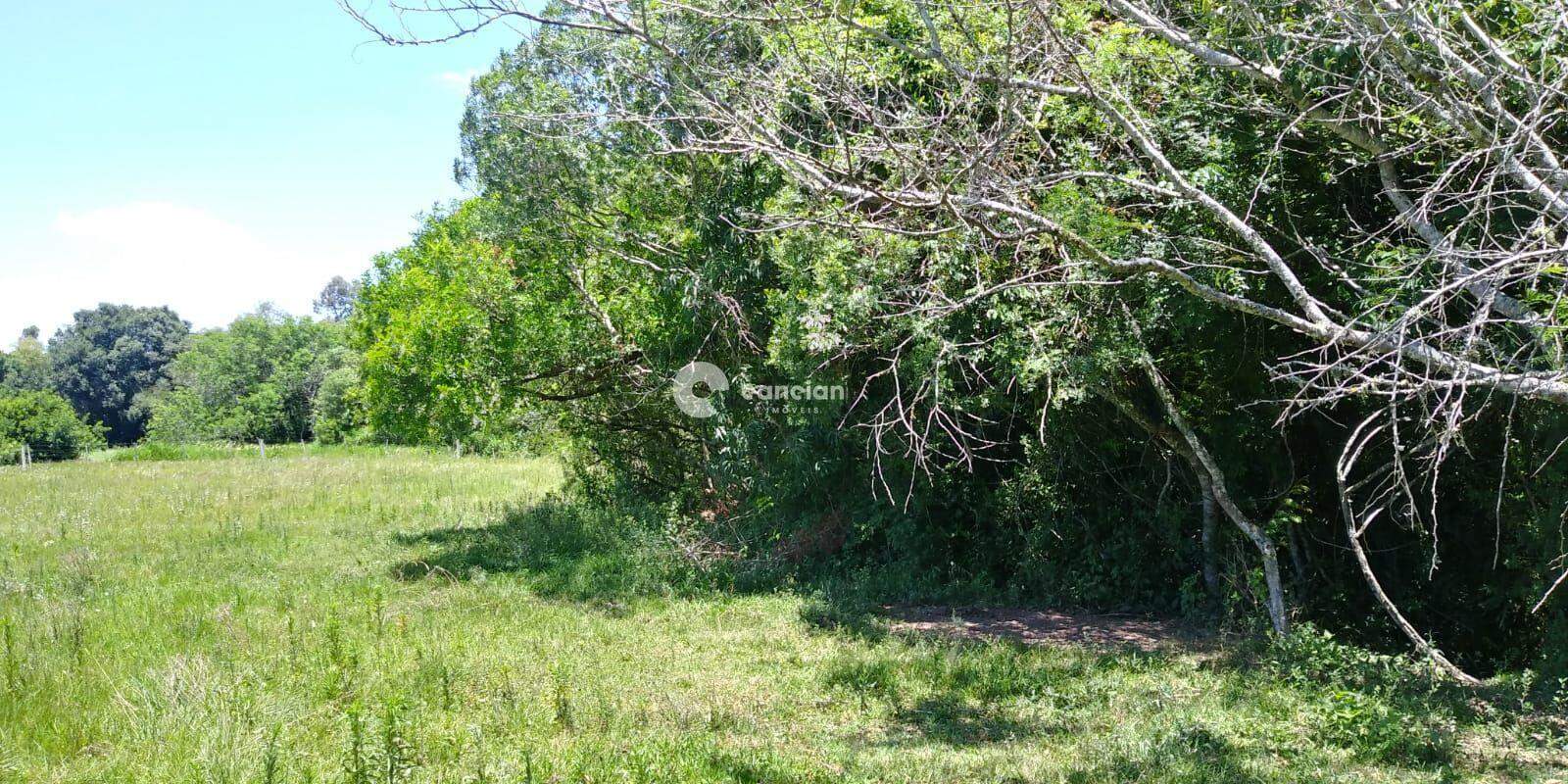 Campo à venda no Diácono João Luiz Pozzobon: 